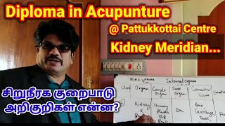 சிறுநீரக குறைபாடுகள் அறிகுறிகள் என்ன? சிறுநீரகங்கள் என்னனென்ன வேலைகள் பார்க்கும்? D.Acu Class kidney