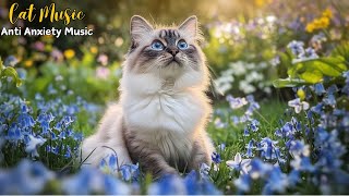 3 HOURS Relaxing Piano Music for Cats 🎄 Soothing Music to Cat Sleep Better and Reduce Stress 🎶