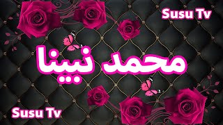 محمد نبينا بدون موسيقى - اناشيد دينية / muhammad nabina nasheed - Susu Tv
