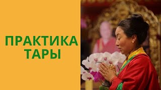 Значимость практики Тары