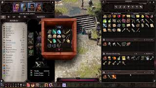 Divinity Original Sin 2