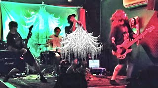 Fathom - Live @ The Abra Full Set July 15 Emmbed In Flesh 2024 Tour!