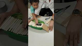 STEM Building Bridges