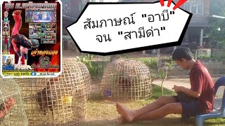 คนรักไก่ชน EP.2 เลี้ยงทะนุถนอม อย่างดี #คนรักไก่ชน #ปั้นไก่เก่ง