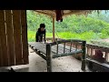 DIY Bamboo - How to Make a Great Bamboo Bed , Building Orphan Farm #bamboo #diy