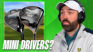 Are Mini Drivers a waste of money or AMAZING?