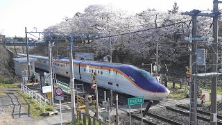 2024 JR東日本 奥羽本線(山形線) 茂吉記念館前駅 「みゆき公園の桜と通過する列車」 4K版