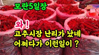 세상에나! 난리난 고추시장과 떡집 햇참깨와 햇잡곡시세까지 한번에~