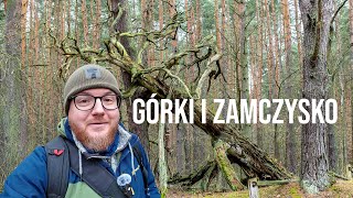 Podręczne atrakcje - Górki i Zamczysko - spacer po Puszczy Kampinoskiej