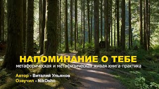 Книга - Напоминание о тебе (Виталий Ульянов, озв: NikOsho)