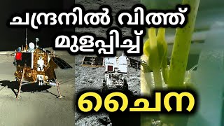 ചന്ദ്രനിൽ വിത്ത് വിതച്ചു ചൈന | planted on moon by china | seeds planted on moon