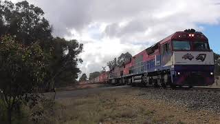 FIE002 \u0026 003; 8148 Up Fletcher Freight; Cullya, Mon22Jul24