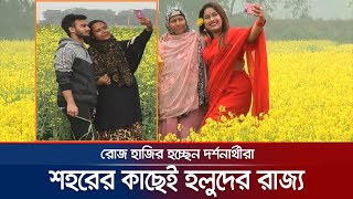 শহরের কাছেই সরিষা ফুলের রাজ্য; দল বেঁধে ঘুরছেন পর্যটকরা