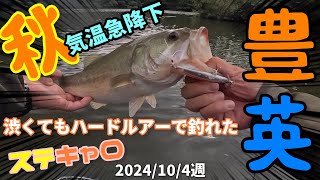 【豊英ダム】１０月４週　巻物の秋！渋くてもハードルアーで釣れた　救世主ステルスペッパー70F　＃ステルスペッパー　＃豊英　＃バス釣り　＃月バス釣り10　＃ステキャロ　＃バイブレーション