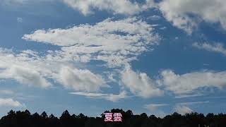 四季折々 / 夏雲 ☁️「 流れる雲」