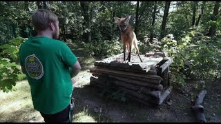 Kinderfest im Amerika-Tierpark