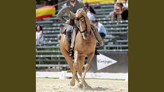 Amanecer a caballo.