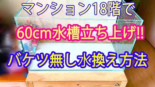 マンションできれいな水槽を管理するコツ