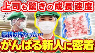 【新人の本音】スーパーの人間関係って怖くない？精肉部門の新入社員に密着取材【就活生向けお仕事密着】