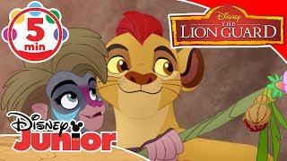 The Lion Guard | Songs From Special Guests 🎶 | Disney Kids