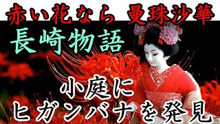 ヒガンバナ・・・「赤い花なら 曼珠沙華」　【長崎物語】