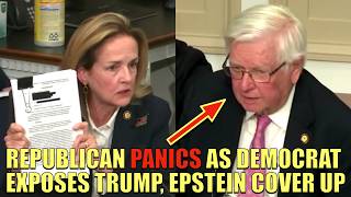 Republican Chairman PANICS as Democrat Exposes Trump's Epstein Cover-Up