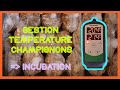 🍄  REGULER FACILEMENT la TEMPÉRATURE des CHAMPIGNONS avec un THERMOSTAT [Incubation Champignons]