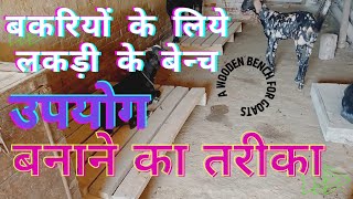 बकरियों के बैठने की उचित ढंग की ब्यवस्था करें | Benefits of sitting on a wooden bench for goats