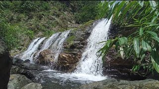 瓦魯斯溪漫步/源自北大武山的湛然/Waterfall  and river  /無版權