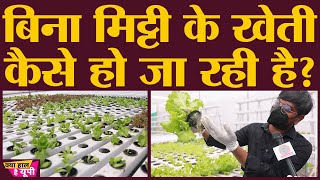 मिट्टी को छोड़कर पानी में खेती क्यों करने लगे ये नौजवान? | Hydroponic Farming