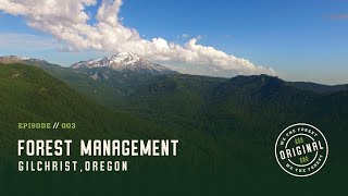 “Forest Management” | We The Forest Original | Gilchrist, OR