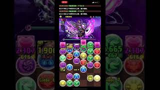 パズドラ 光アヌビス ベルゼブブ降臨 超地獄級