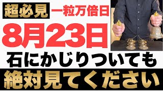 【マジでヤバい!】8月23日(金)までに石にかじりついても絶対見て下さい！このあと、突然の臨時収入にお財布が潤う予兆です！【2024年8月23日(金)一粒万倍日の金運大吉祈願】