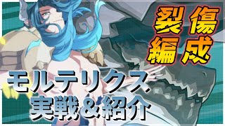 【エピックセブン】裂傷編成完成！モルト実戦＆紹介【Epic 7】