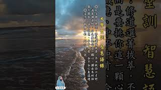 〔大學之道02〕白話訓【大學聖訓】仙佛慈語、仙佛白話訓、四書、白陽聖訓、白陽經典 #生活論語 #shorts