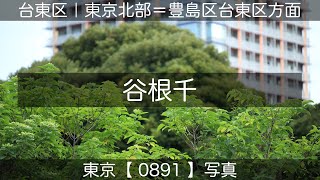 0891【谷根千】台東区谷中地先＋文京区根津地先＋同区千駄木地先＋荒川区西日暮里地先、谷根千にて、山手線「日暮里駅」より。撮影日2024年07月11日(木)。東京北部＝豊島区台東区方面、東京写真。