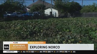 Farm training program in Norco: SoCal Spotlight