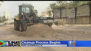 Post-Irma Cleanup Begins In South Florida