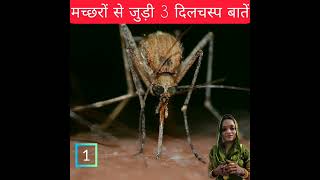 मच्छरों की दिलचस्प बाते | A2 Motivation | #shorts #mosquito #youtubeshorts  #ashortaday