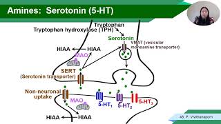 Neurotransmitter 2021-5