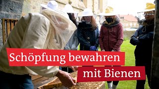 Bienen am Paderborner Dom: Schöpfung bewahren mit der Bienen-AG