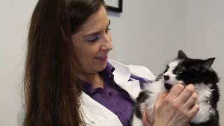 CARE VETERINARY CENTER Overview