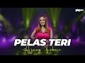 AJENG FEBRIA - PELAS TERI (OFFICIAL MUSIC VIDEO)