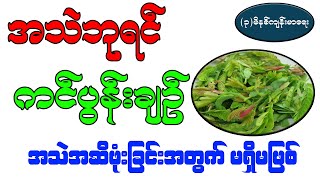 အသဲဘုရင် ကင်ပွန်းချဉ် အသဲအဆီဖုံးရောဂါတွက် မရှိမဖြစ်အထိရောက်ဆုံး