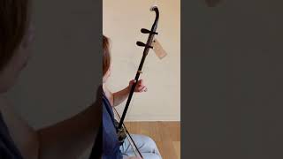 Erhu - Professional Brazilian Rosewood