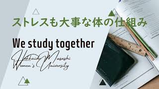 ストレスも大事な体の仕組み　～活き活きと働くために役立つ心理学　Part.4～