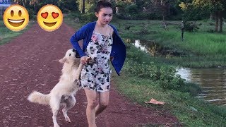 Try Not To Laugh Challenge* Funny Dogs Compilation 2018 | Best Funny Vines
