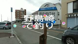 【巻き上がらない？？】5月20日千葉南房総ドシロウト釣り情報 白浜野島崎灯台釣りポイントチェック