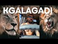 Solo Travel Africa Episode #9 Kgalagadi Transfrontier Park