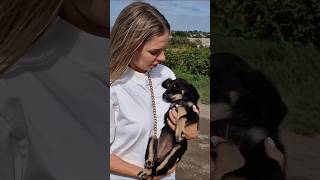 Someone Dupmed Poor Pup in Bag by the Roadside… #lovefurryfriends #rescuedog #dog #puppy #shorts